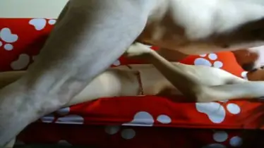 Bokep Indo ABG Bispak Jakarta Hotel Skandal Terekam Viral Full HD 2025